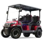 FX40 Golf Cars For Sale