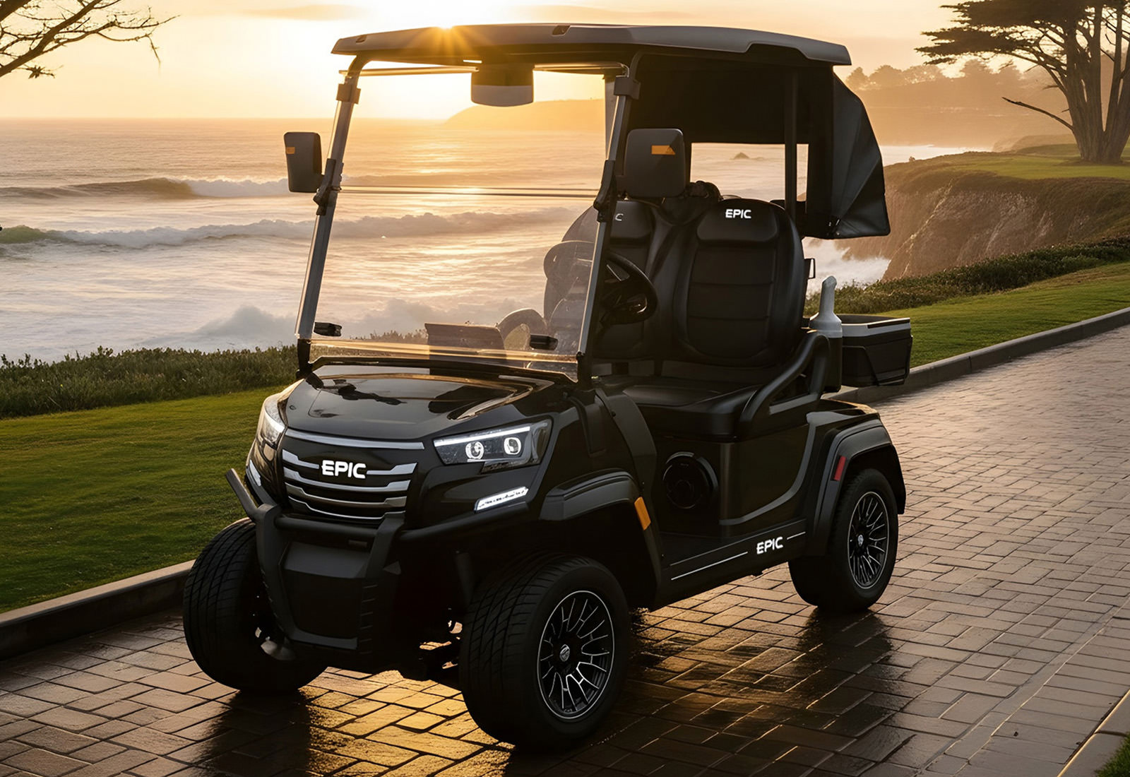 EPIC E20FX Golf Carts - 4